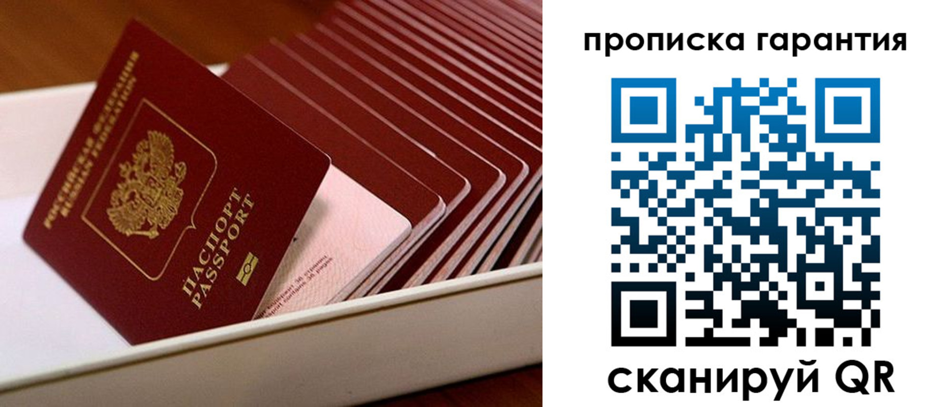 прописка поиск в Черноголовке